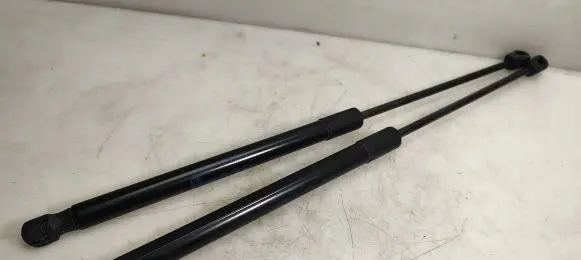 Opel Insignia A Tailgate/trunk strut/damper 13332570 0317860660N