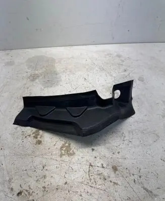 Rear/tail light trim molding
