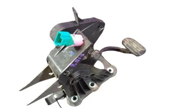 Renault Laguna III Brake pedal 465010003R