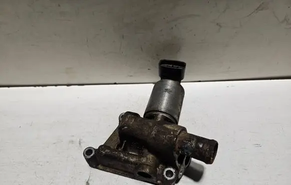 EGR valve