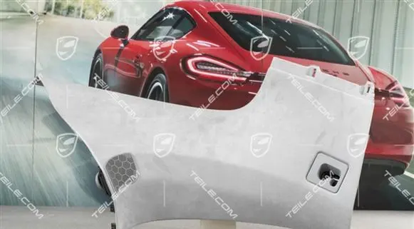 Porsche Cayenne (9PA) (D)pillar trim (top) 955555253045E5