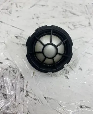 Front door high frequency speaker