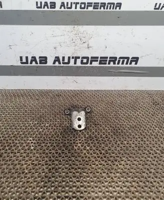 Nissan Murano Z51 Rear door lower hinge