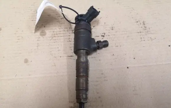 Ford Fiesta Fuel injector 0445110339 870689