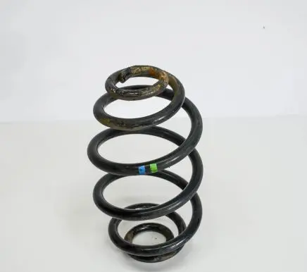 Volkswagen PASSAT B5 Rear coil spring