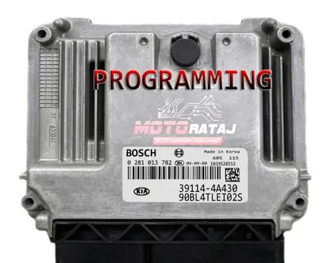 KIA Sorento Engine control unit/module 391144A430 0281013782