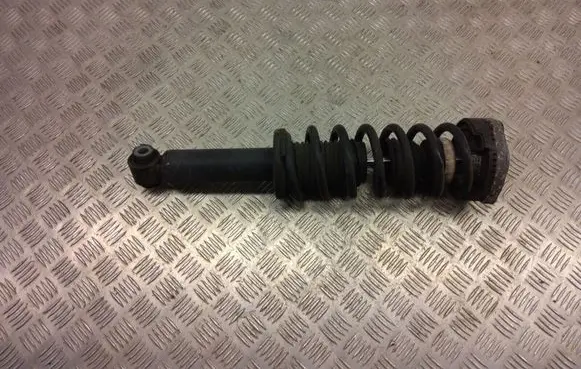 BMW X3 F25 Rear shock absorber with coil spring 6796317
