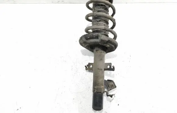 Nissan Qashqai Front shock absorber with coil spring