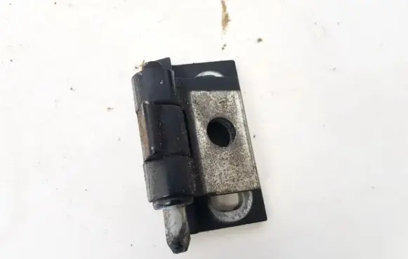 Volvo S60 Rear door lower hinge