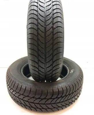 Seat Leon (1M) R15 winter tire 