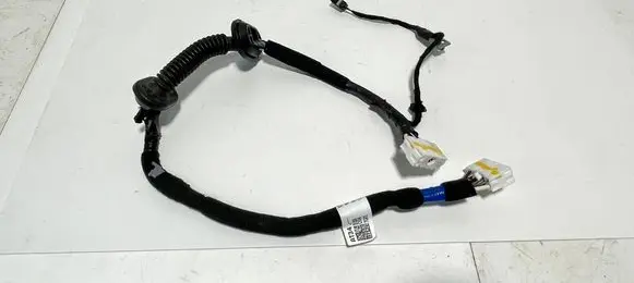 Other wiring loom
