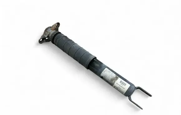Dodge Durango III Rear shock absorber/damper 894104000847