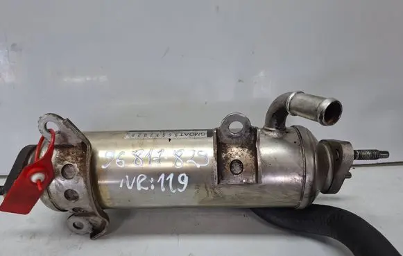Opel Antara EGR valve cooler S27612119 96817829