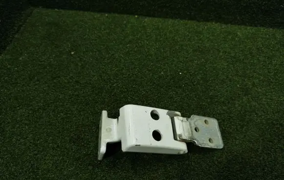Rear door lower hinge