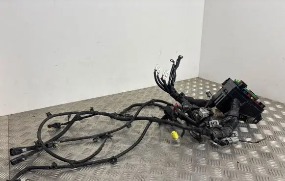 Peugeot 4008 Other wiring loom