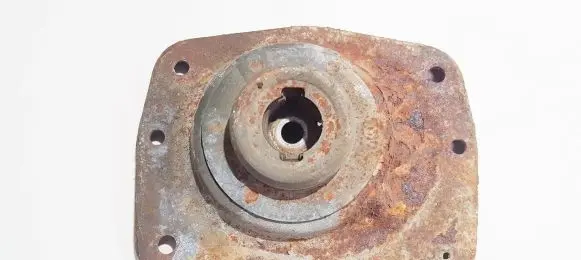 Coil spring mount