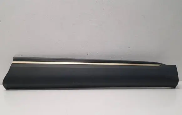 Renault Arkana Front door trim (molding) 801869320R 801863263R