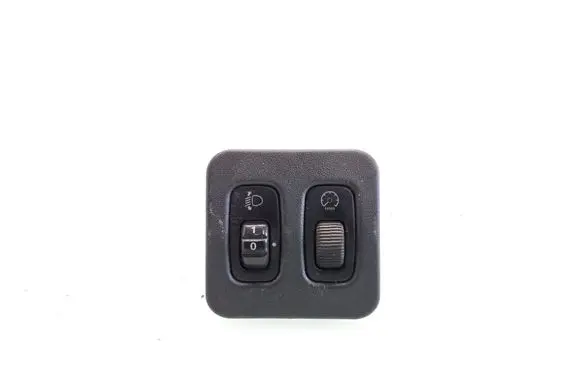 Panel lighting control switch