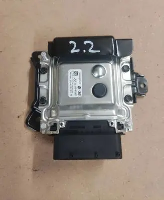 Hyundai Santa Fe Other control units/modules 296102FFX5 1039T33240 0281035547