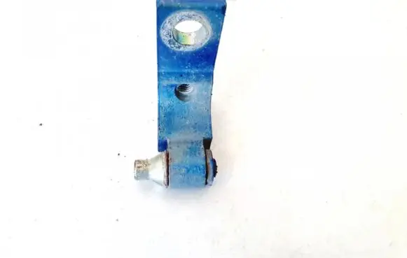 Fiat Punto (188) Front door upper hinge