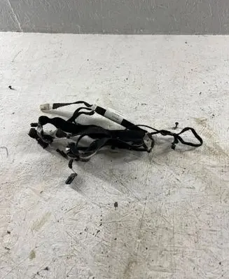 Mercedes-Benz CL C216 Front door wiring loom 2165400805