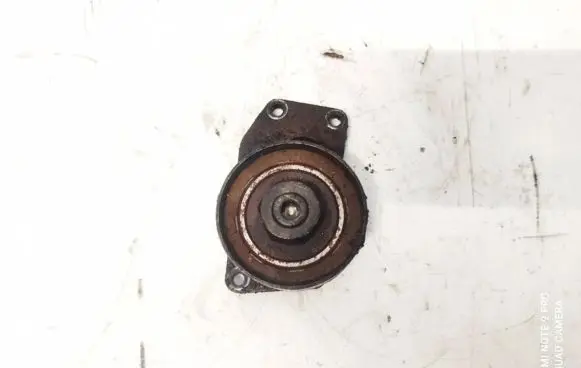 Citroen C3 Picasso Generator/alternator belt tensioner