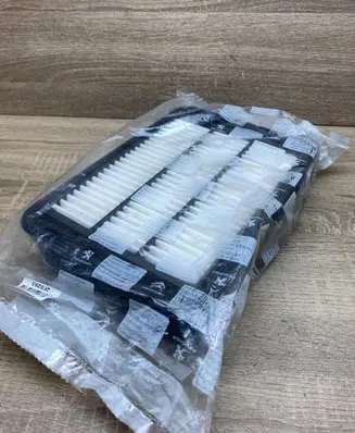 Peugeot 4007 Air filter 1444XE