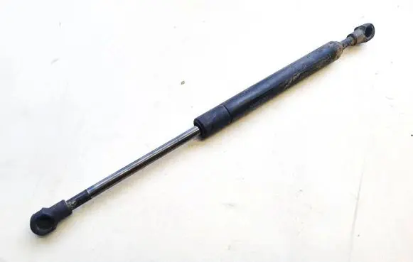 Tailgate/trunk strut/damper