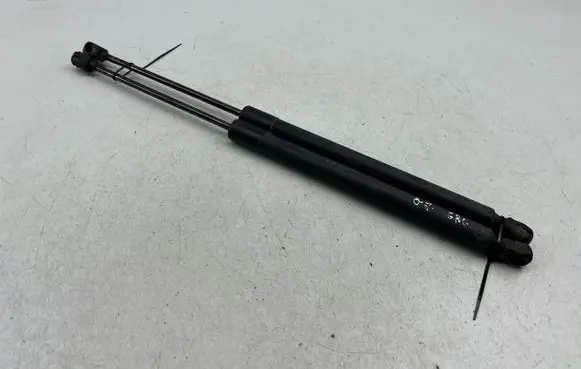 Tailgate/trunk strut/damper