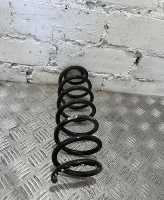 Renault Megane III Rear coil spring