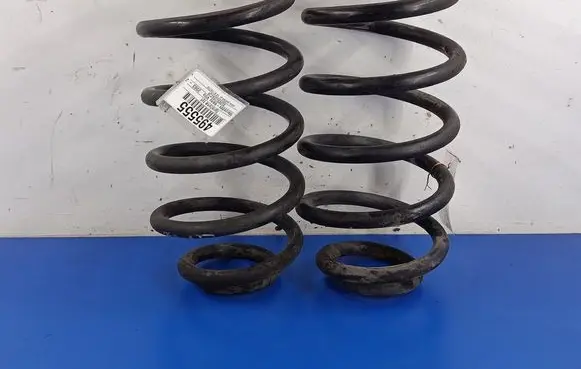 Rear coil spring