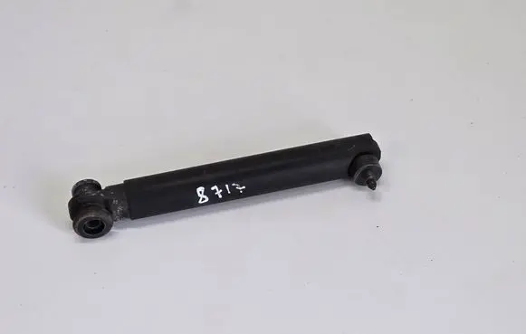 Tailgate/trunk strut/damper