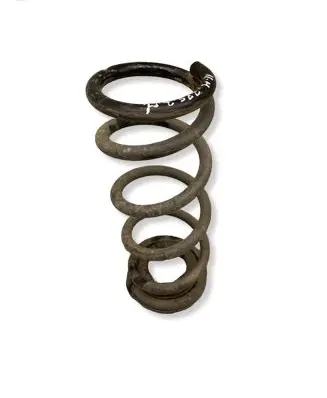 Nissan Murano Z51 Rear coil spring 