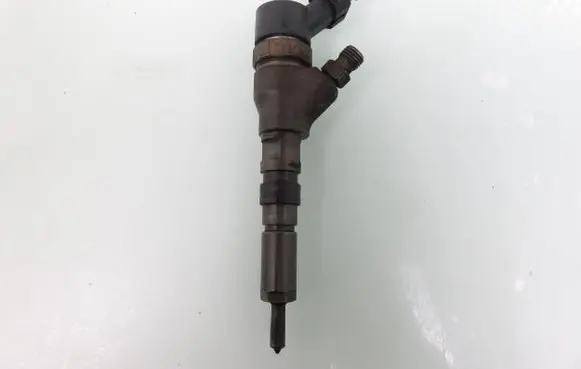 Citroen Xsara Picasso Fuel injector 0445110076 9641742880