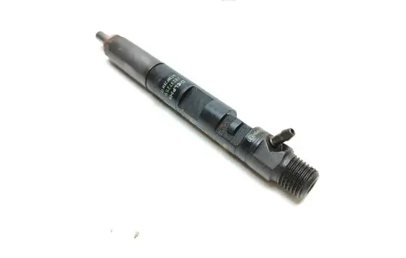 Renault Kangoo II Fuel injector 166000897R H8200827965