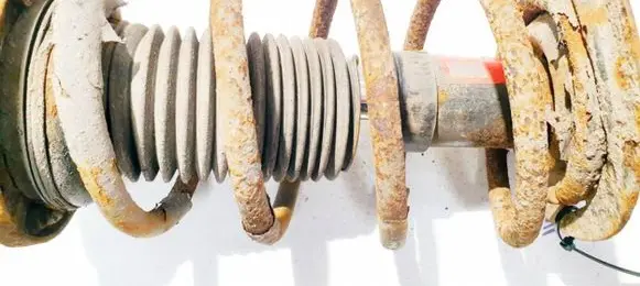Opel Signum Front coil spring