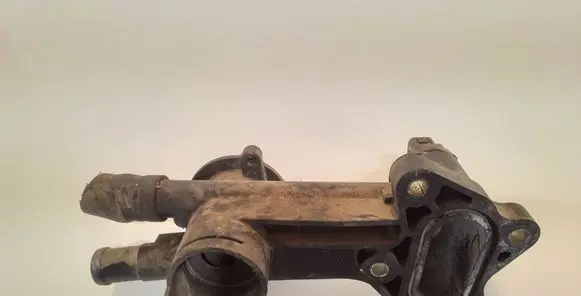 Thermostat/thermostat housing