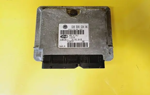 Volkswagen Polo IV 9N3 Engine control unit/module 036906034AK