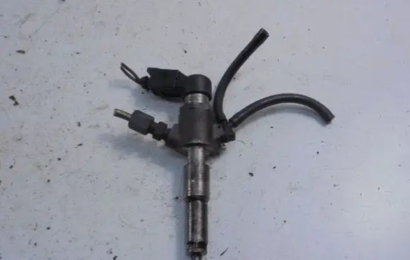 Citroen C3 Fuel injector 9655304880