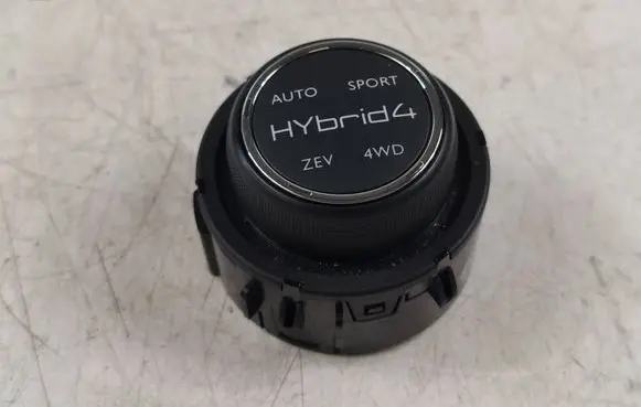 Multifunctional control switch/knob