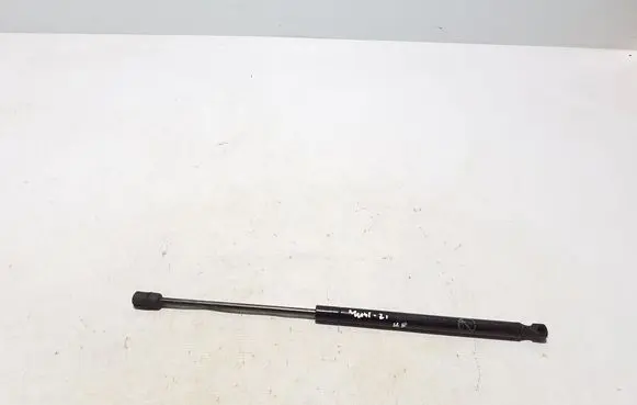 Ford Mach-E I Front bonnet/hood damper/strut LJ8BR16C827AB