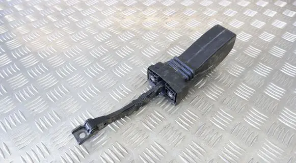 Volkswagen Touareg II Front door check strap stopper 7P0837249
