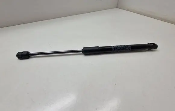 Front bonnet/hood damper/strut