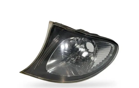 BMW 3 E46 Front indicator light 7165849