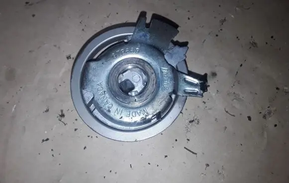 Skoda Octavia Mk2 (1Z) Timing belt/chain tensioner 979669