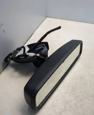 Ford Ecosport Rear view mirror (interior) E11026532