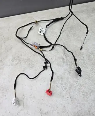 Front door wiring loom