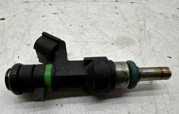 Nissan Qashqai Fuel injector FBY1160 6008313