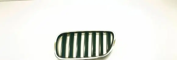 BMW X3 E83 Front bumper upper radiator grill 51113420087 3420087