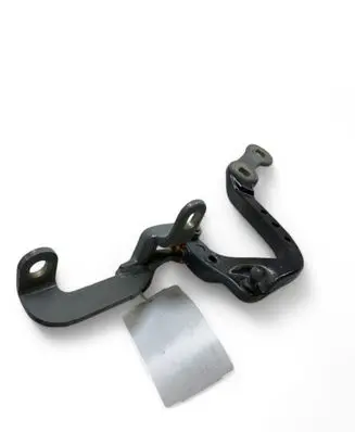 Tailgate/trunk/boot hinge